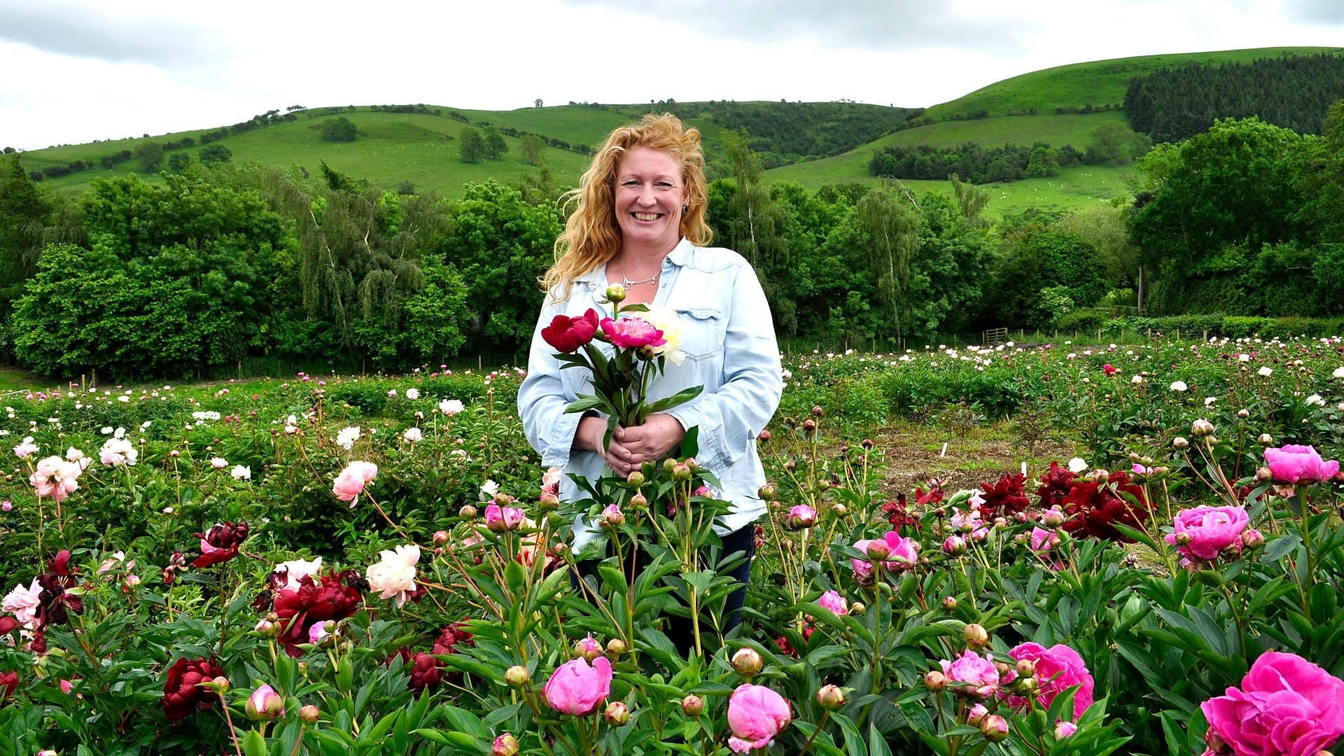 Wildlife Gardens and Peonies