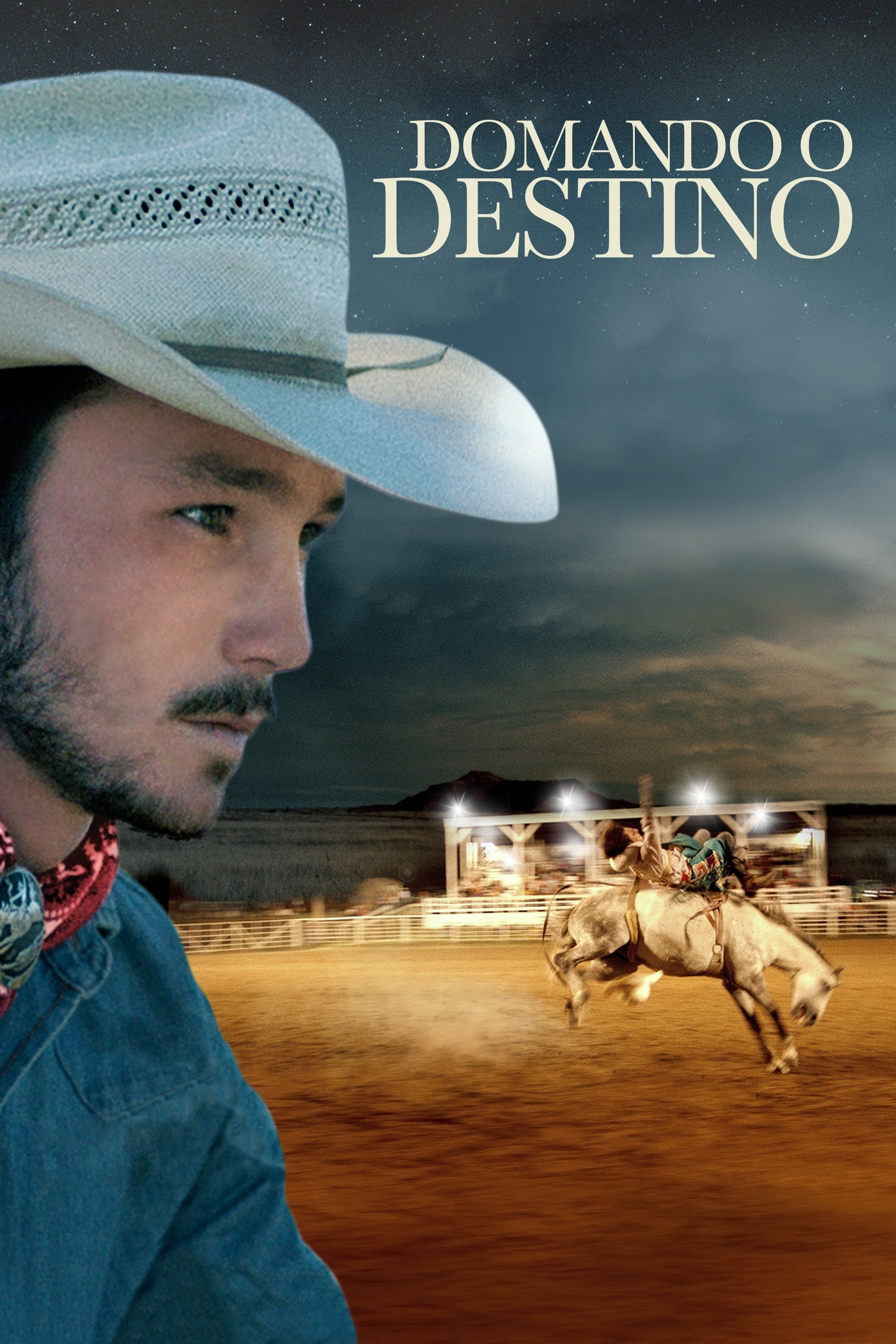 Poster de Domando o Destino