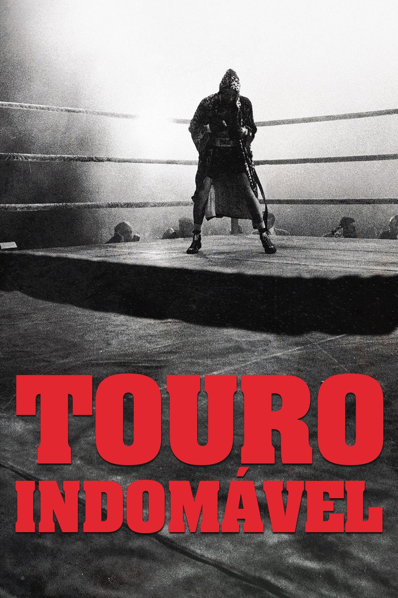 Poster de Touro Indomável