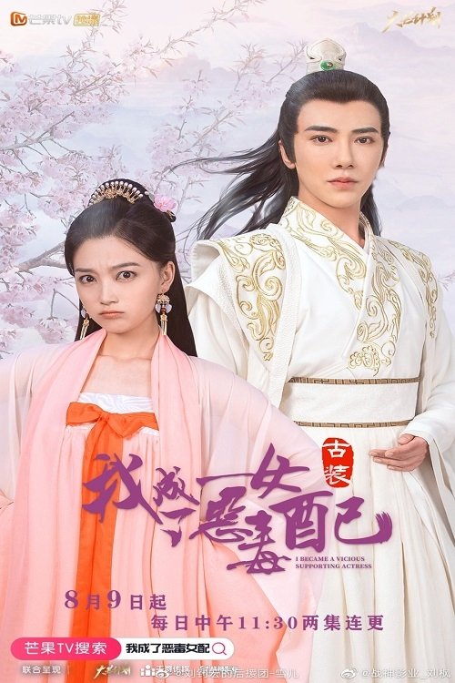 Poster de 我成了恶毒女配
