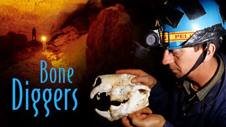 Bone Diggers