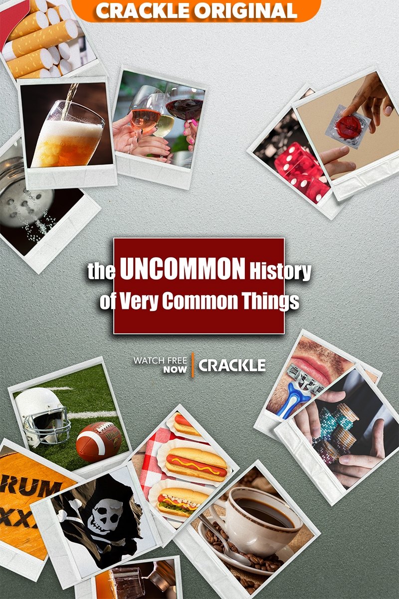 Poster de The Uncommon History of Very Common Things