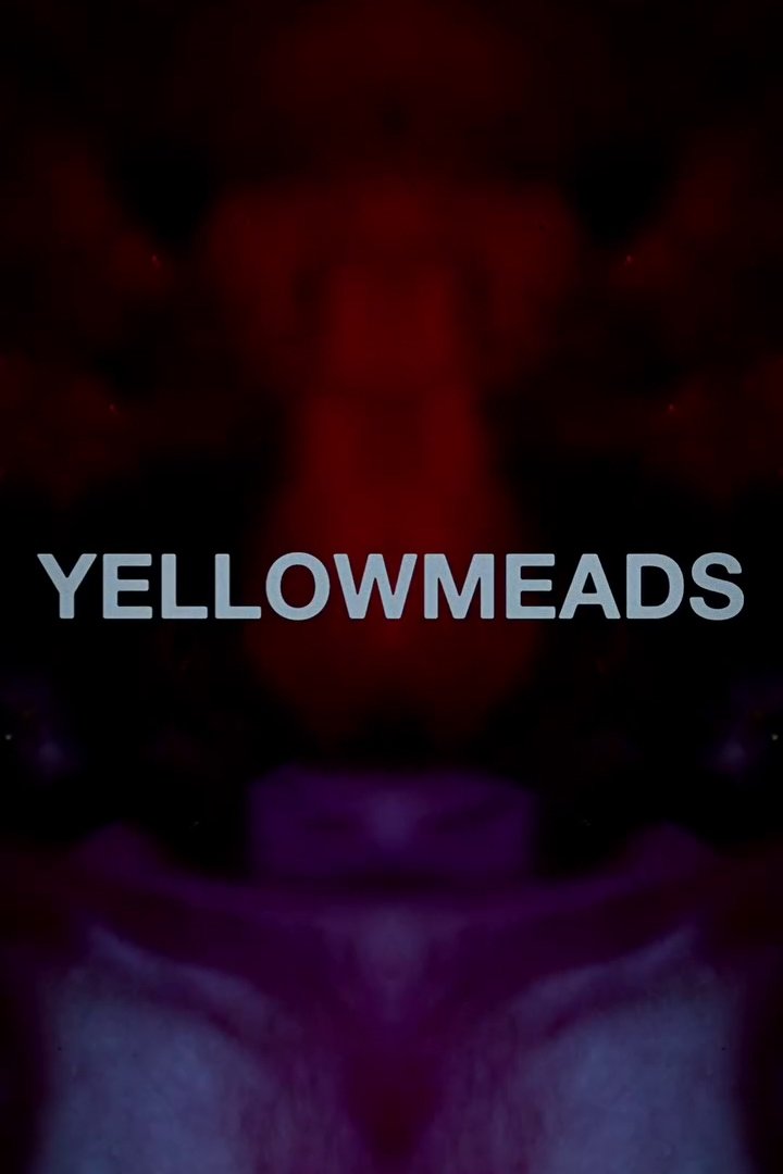 Poster of Yellowmeads
