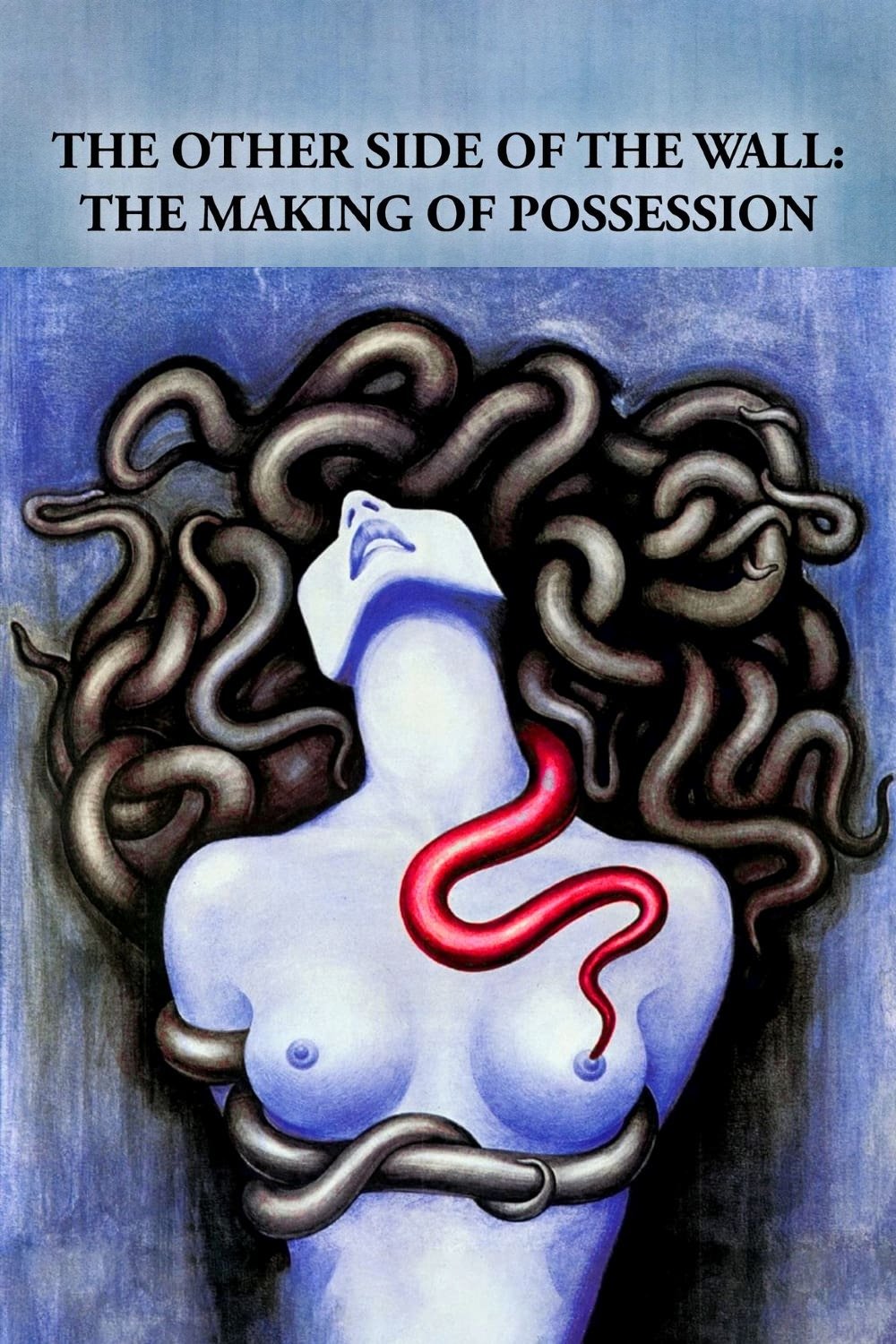 Poster de The Other Side of the Wall: The Making of Possession