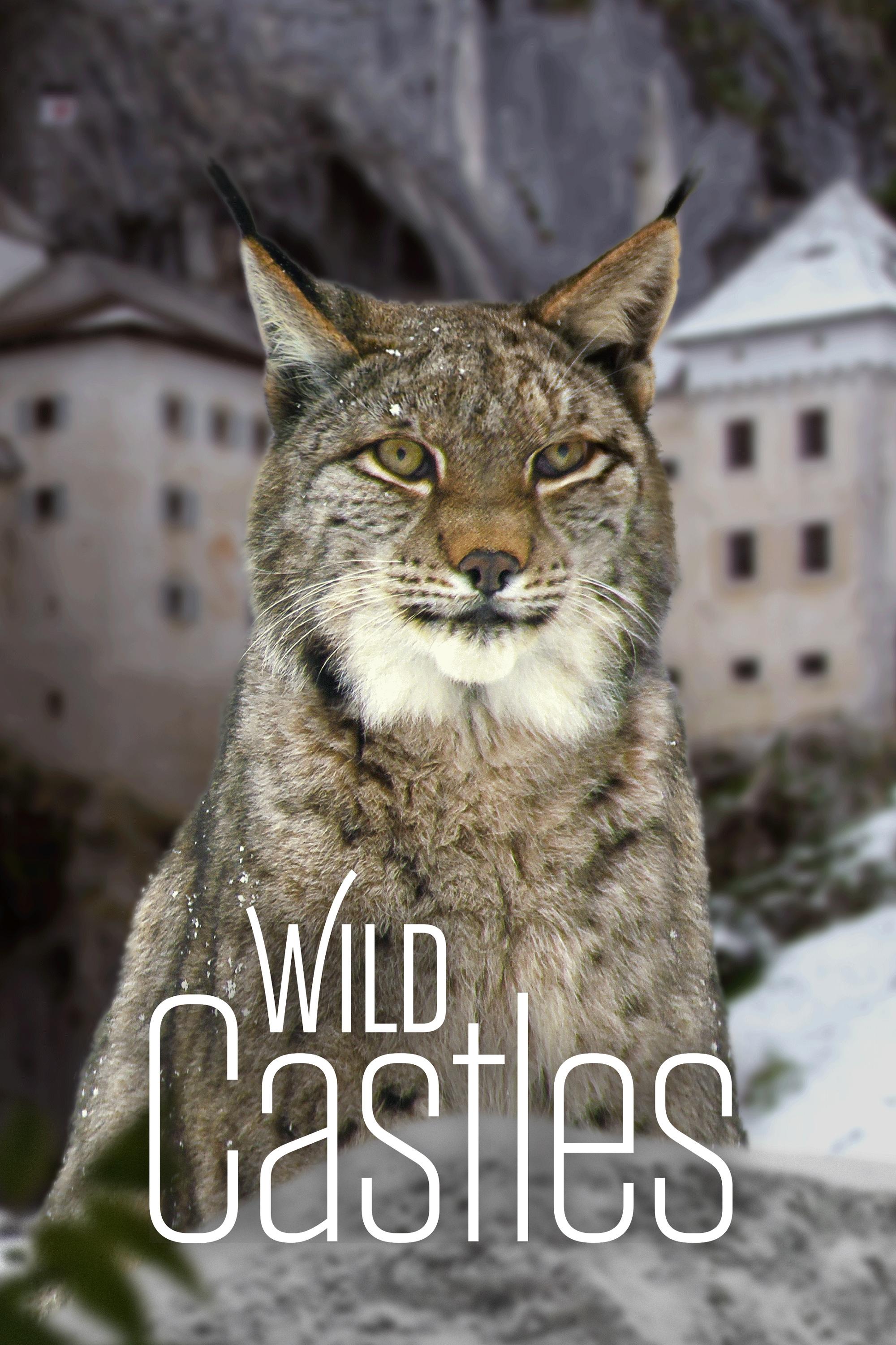 Poster de Wild Castles
