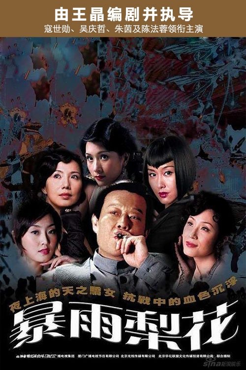 Poster de 暴雨梨花