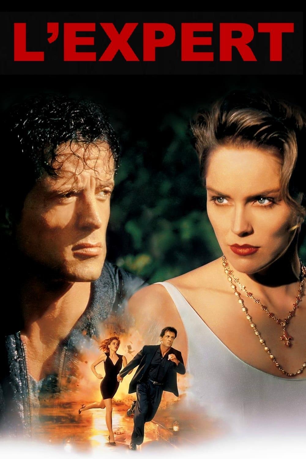Affiche du film The Specialist