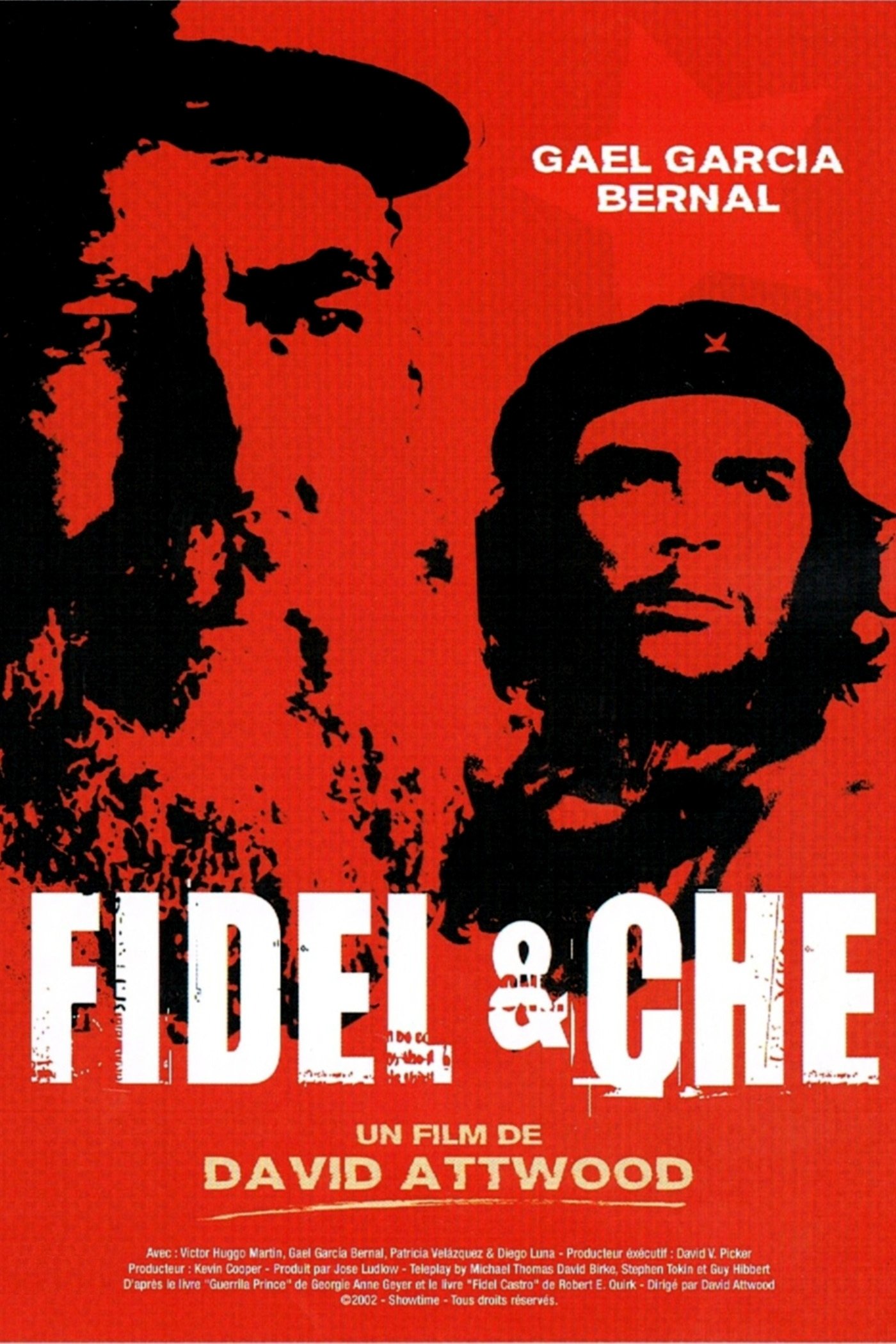 Affiche du film Fidel