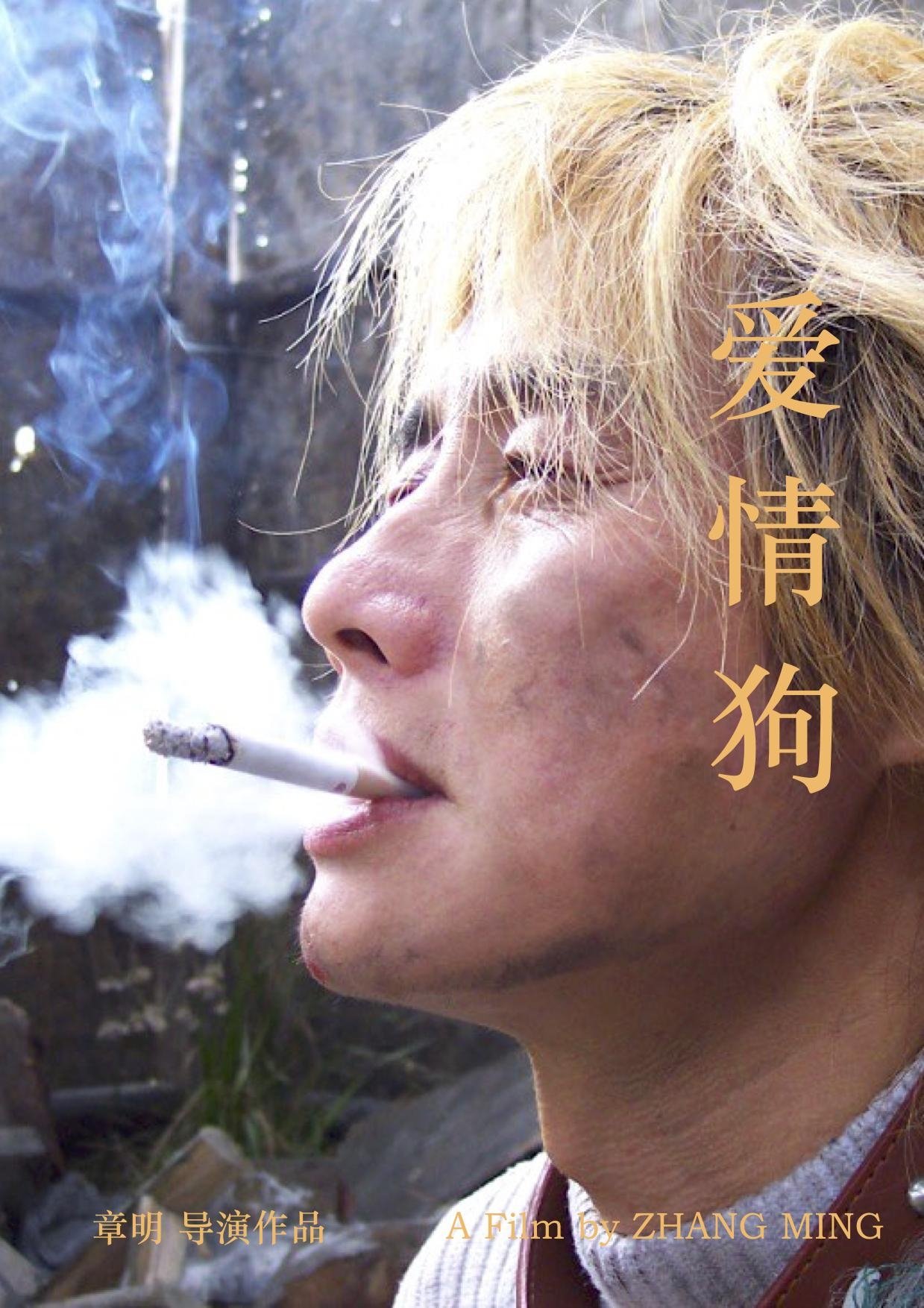 Poster de 爱情狗