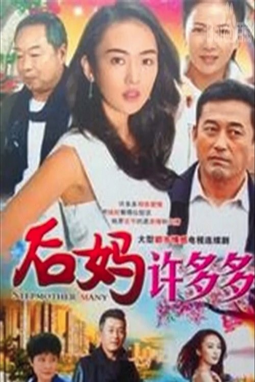 Poster de 后妈许多多