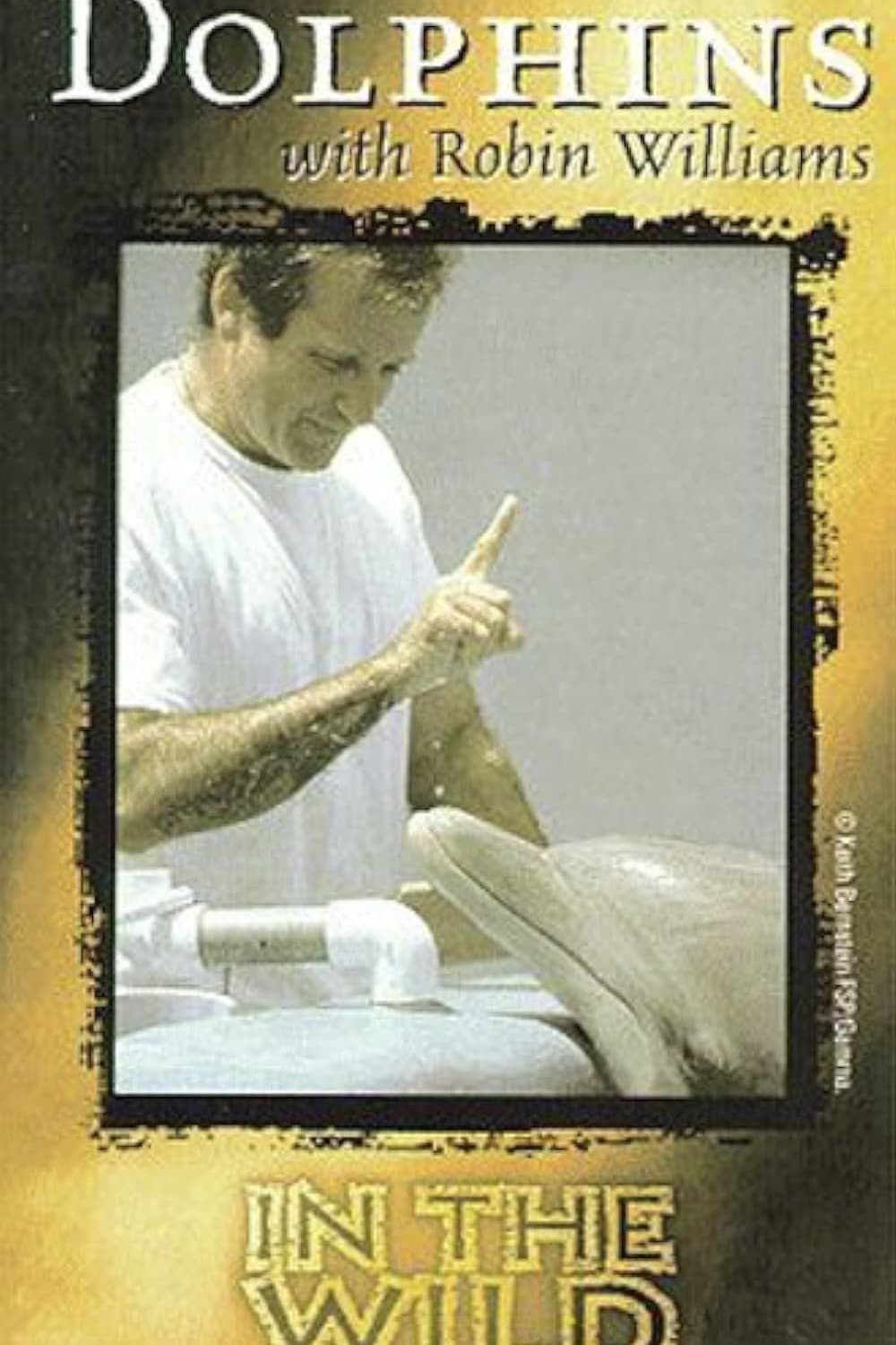 Poster de In the Wild: Dolphins With Robin Williams