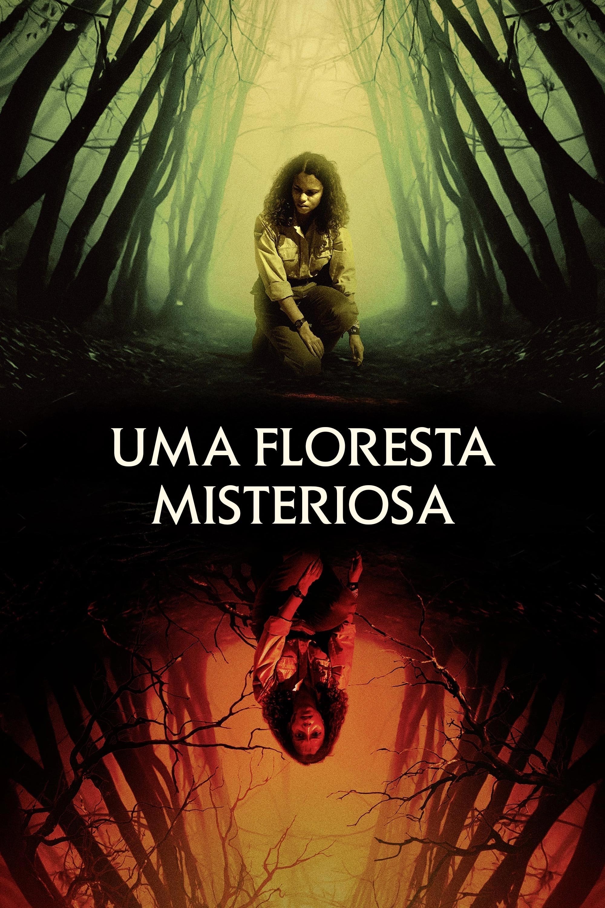Poster de Uma Floresta Misteriosa