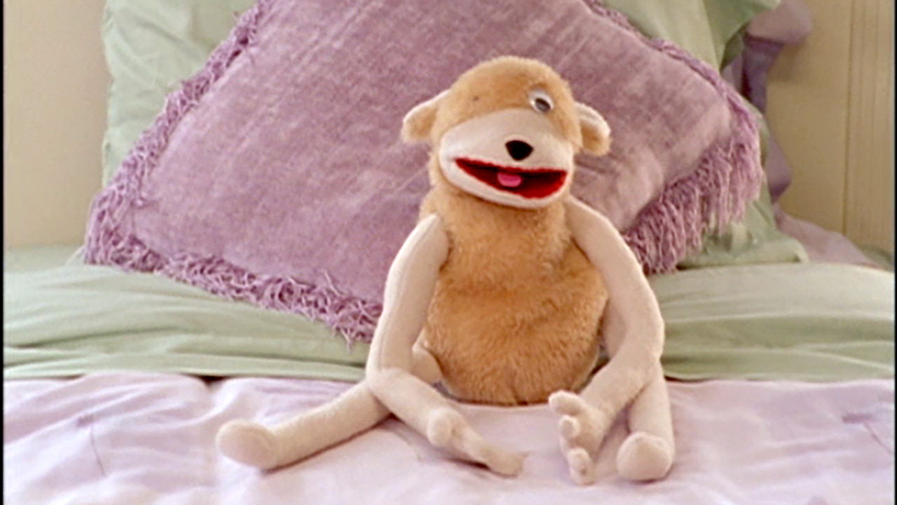 Where in the World Is Pookie Stevens?