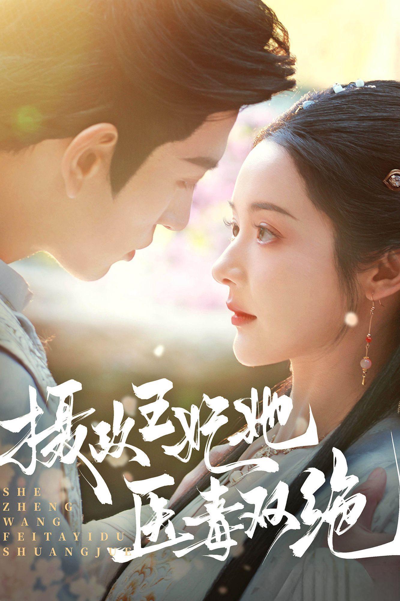 Poster de 摄政王妃她医毒双绝