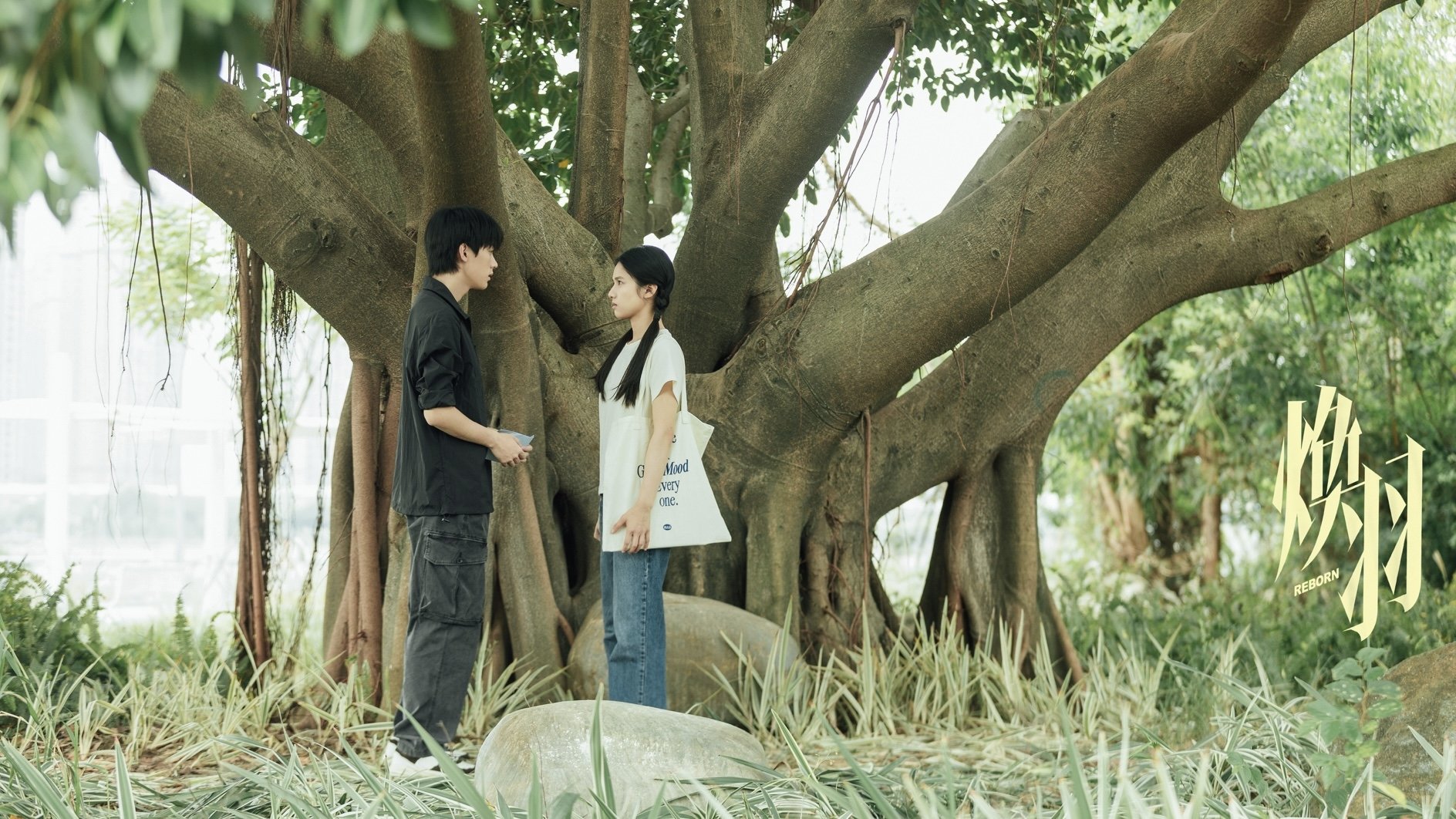 Backdrop image