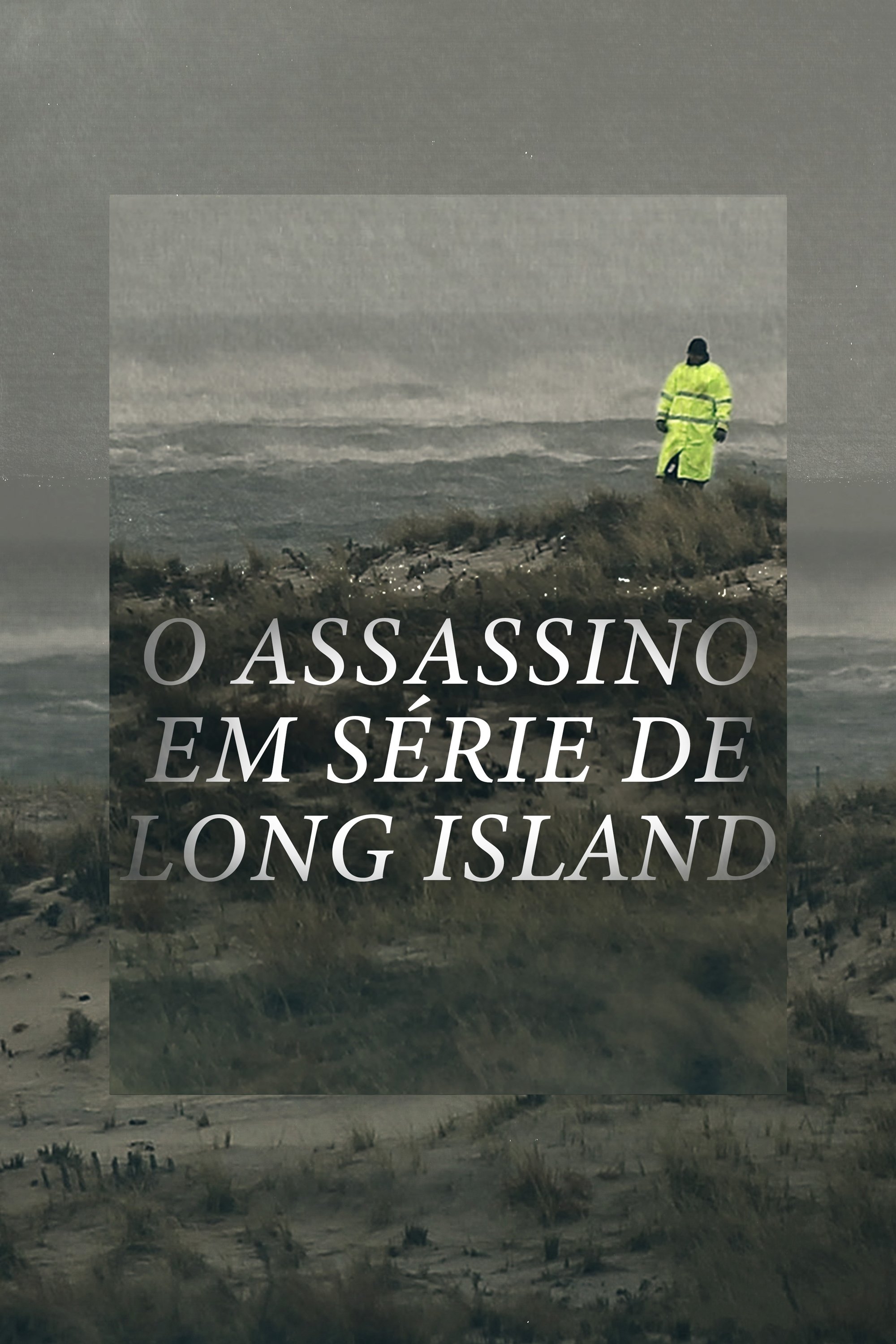 Poster de O Assassino em Série de Long Island