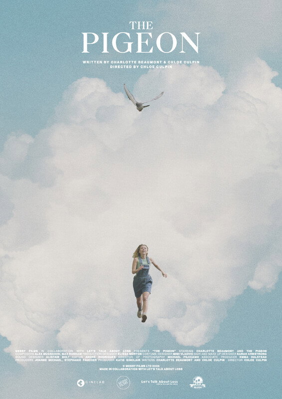 Poster de The Pigeon