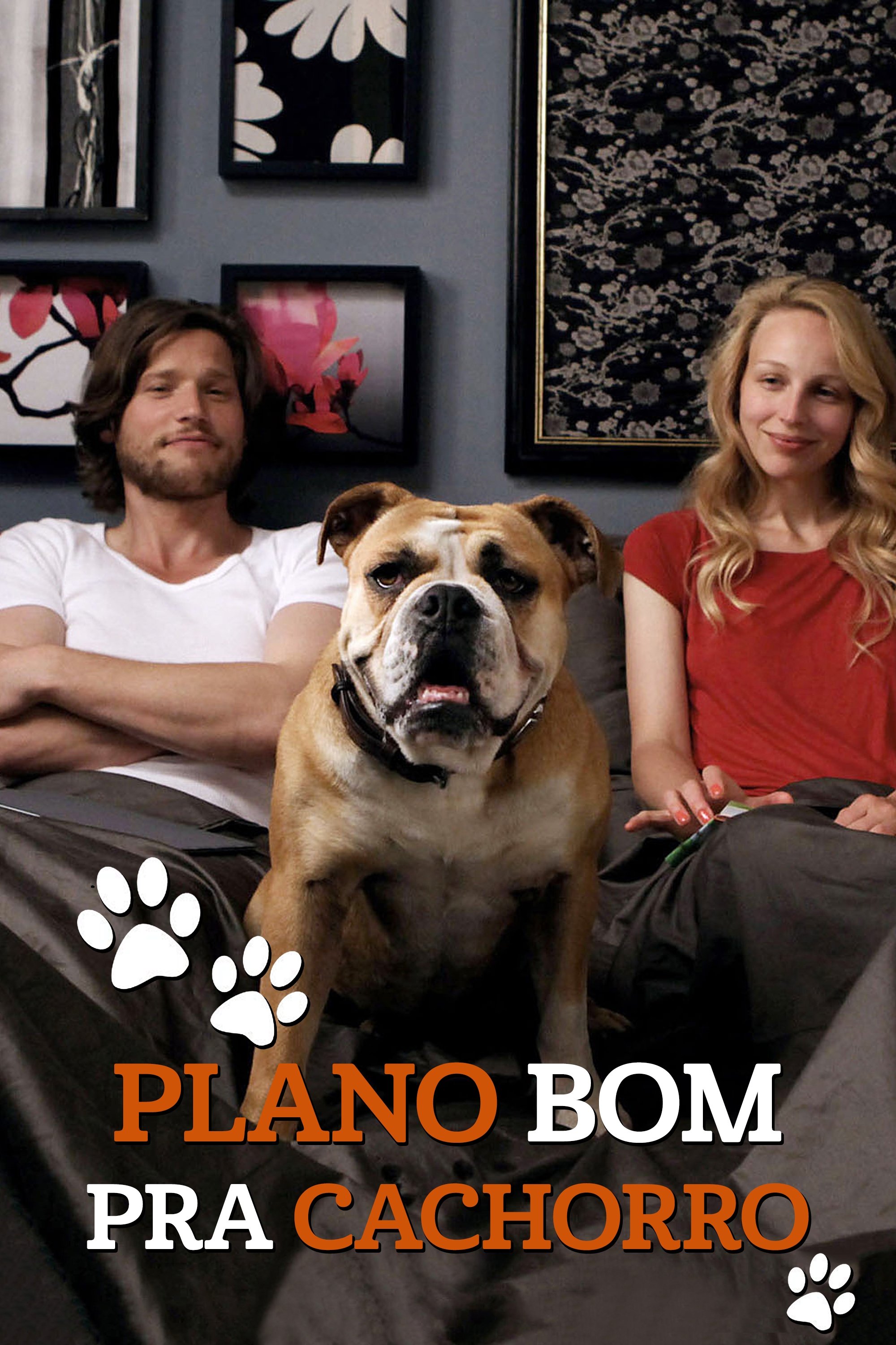 Poster de Plano Bom pra Cachorro