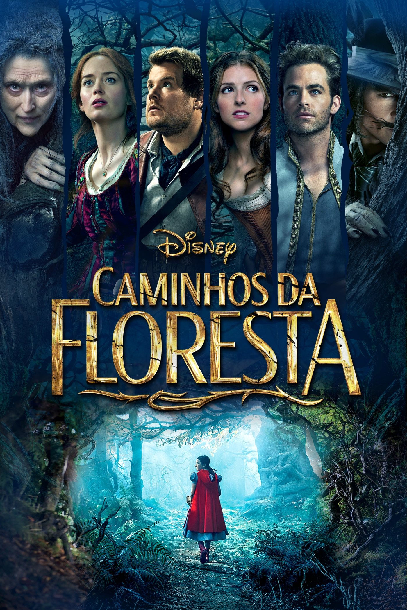 Poster de Caminhos da Floresta