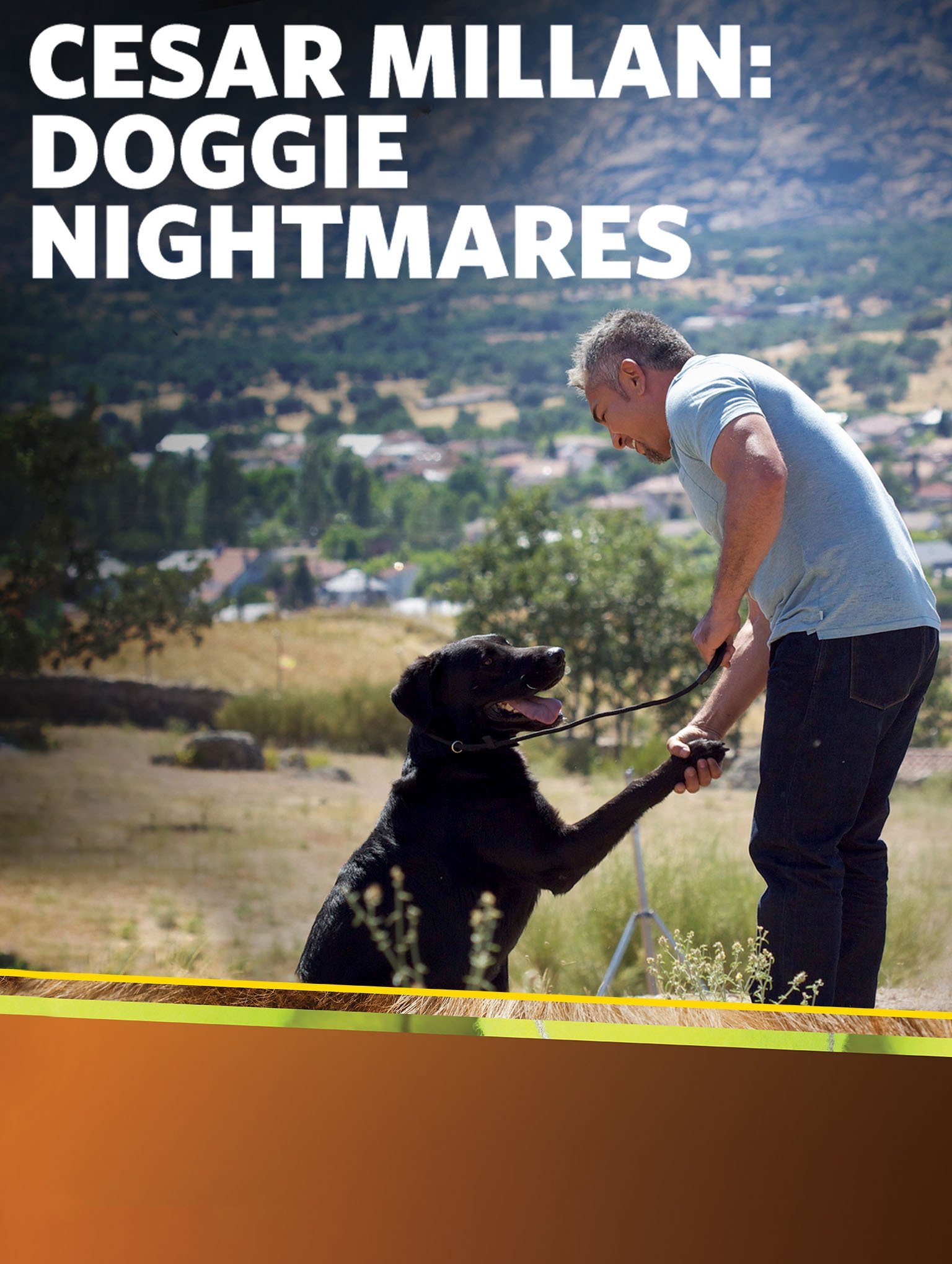 Poster de Cesar Millan: Pesadelo Canino