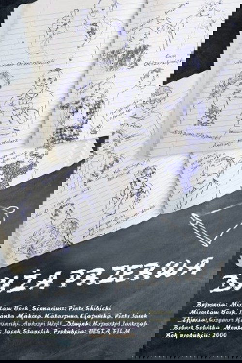 Poster de Duża przerwa