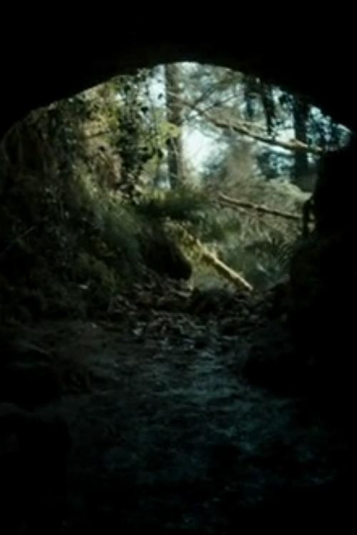 Poster de The Beast