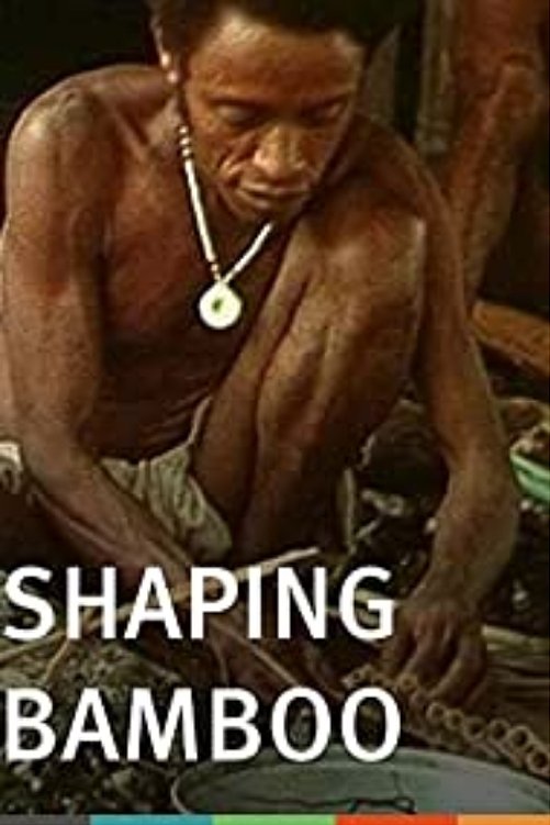 Poster de Shaping Bamboo