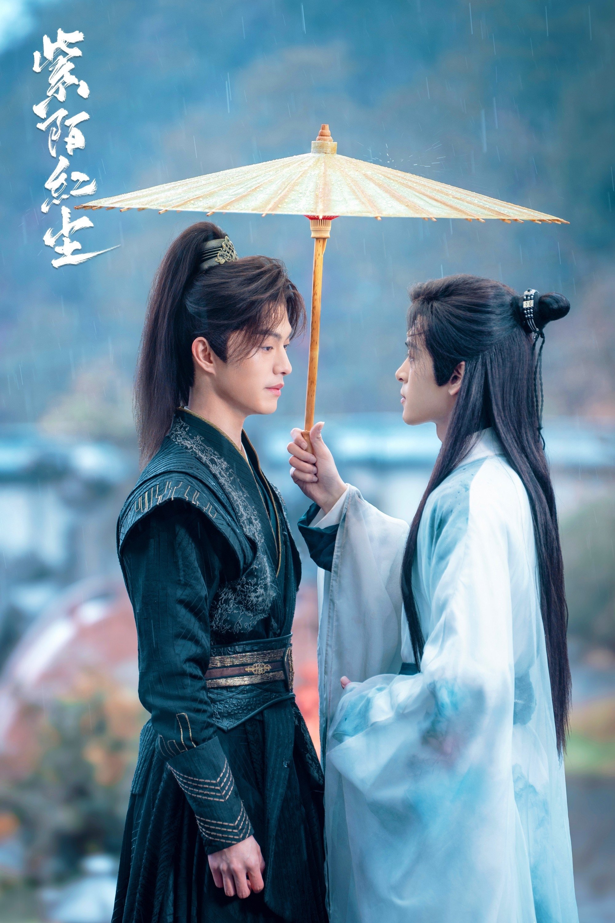 Poster de 紫陌红尘
