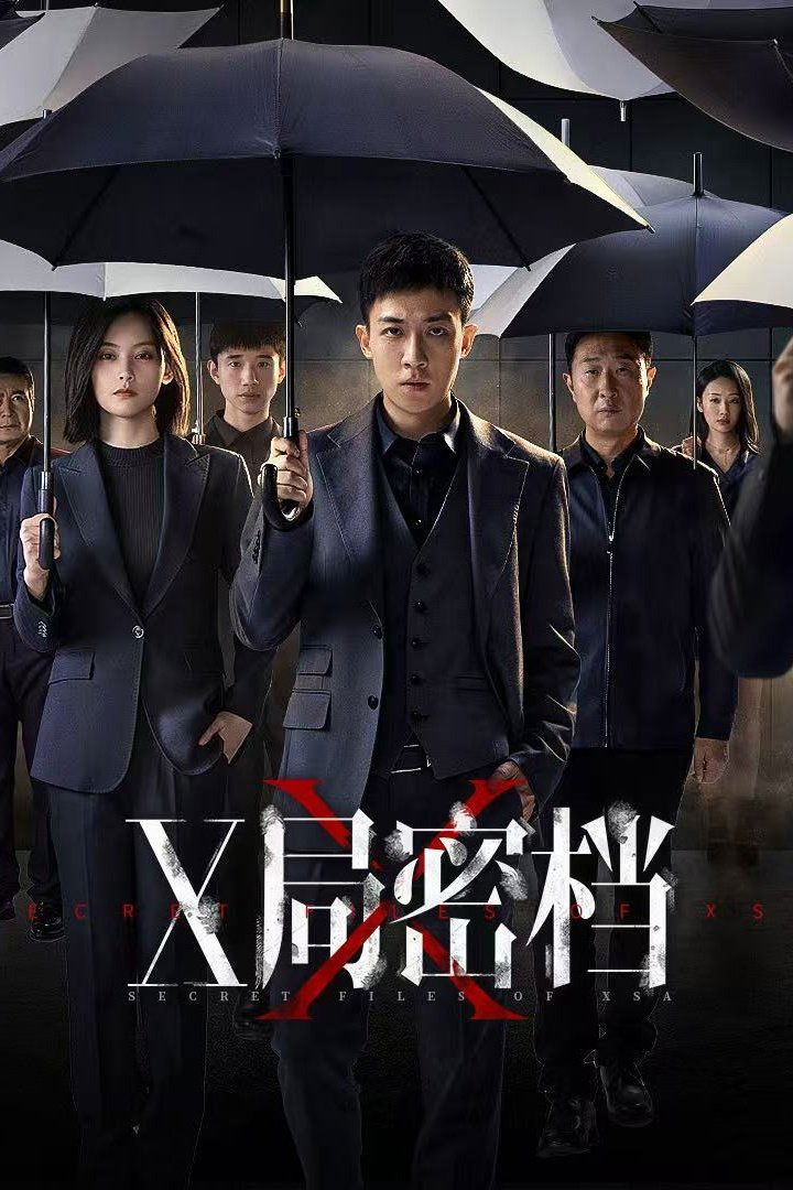 Poster de X局密档