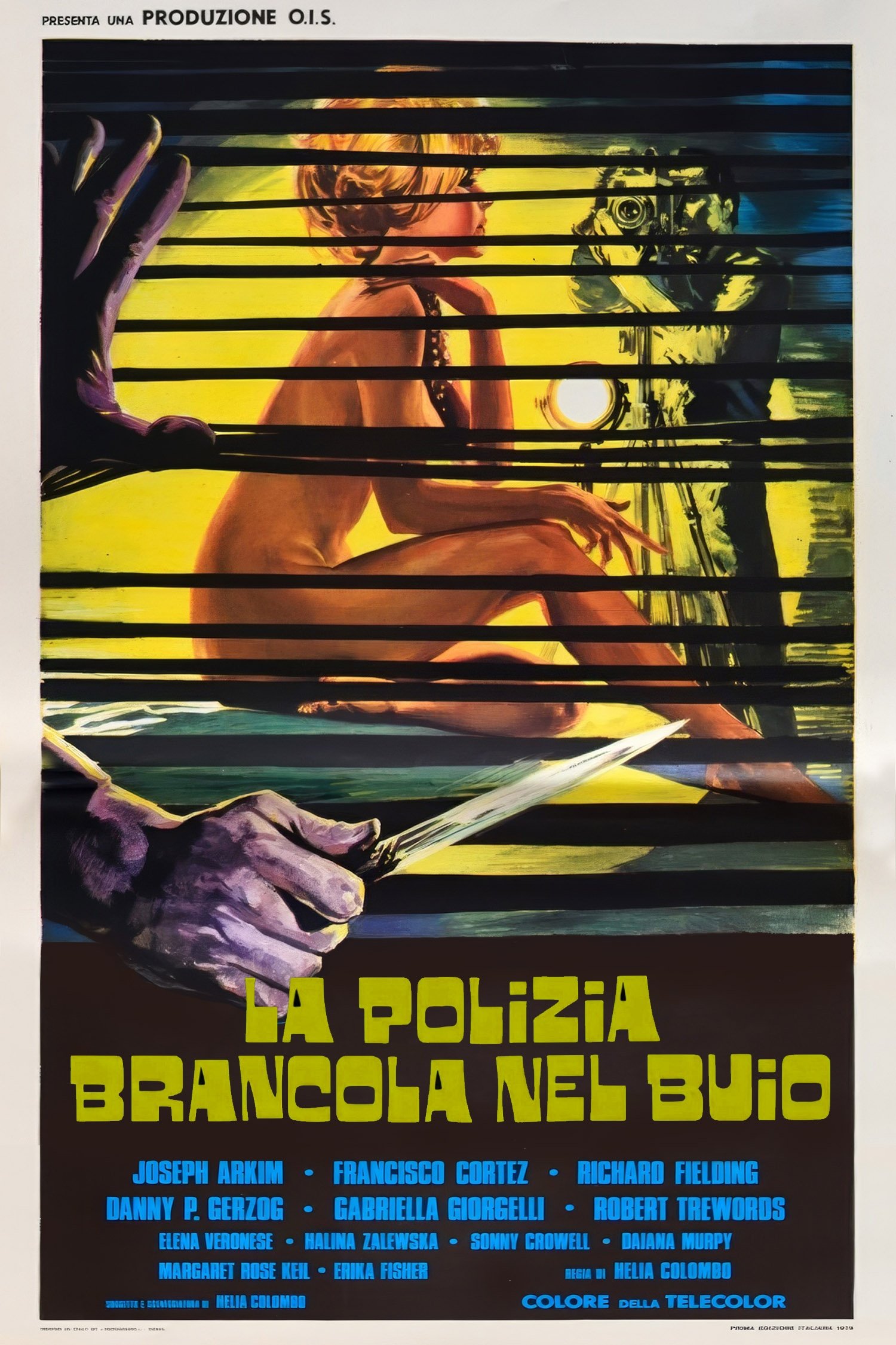 Poster de La polizia brancola nel buio