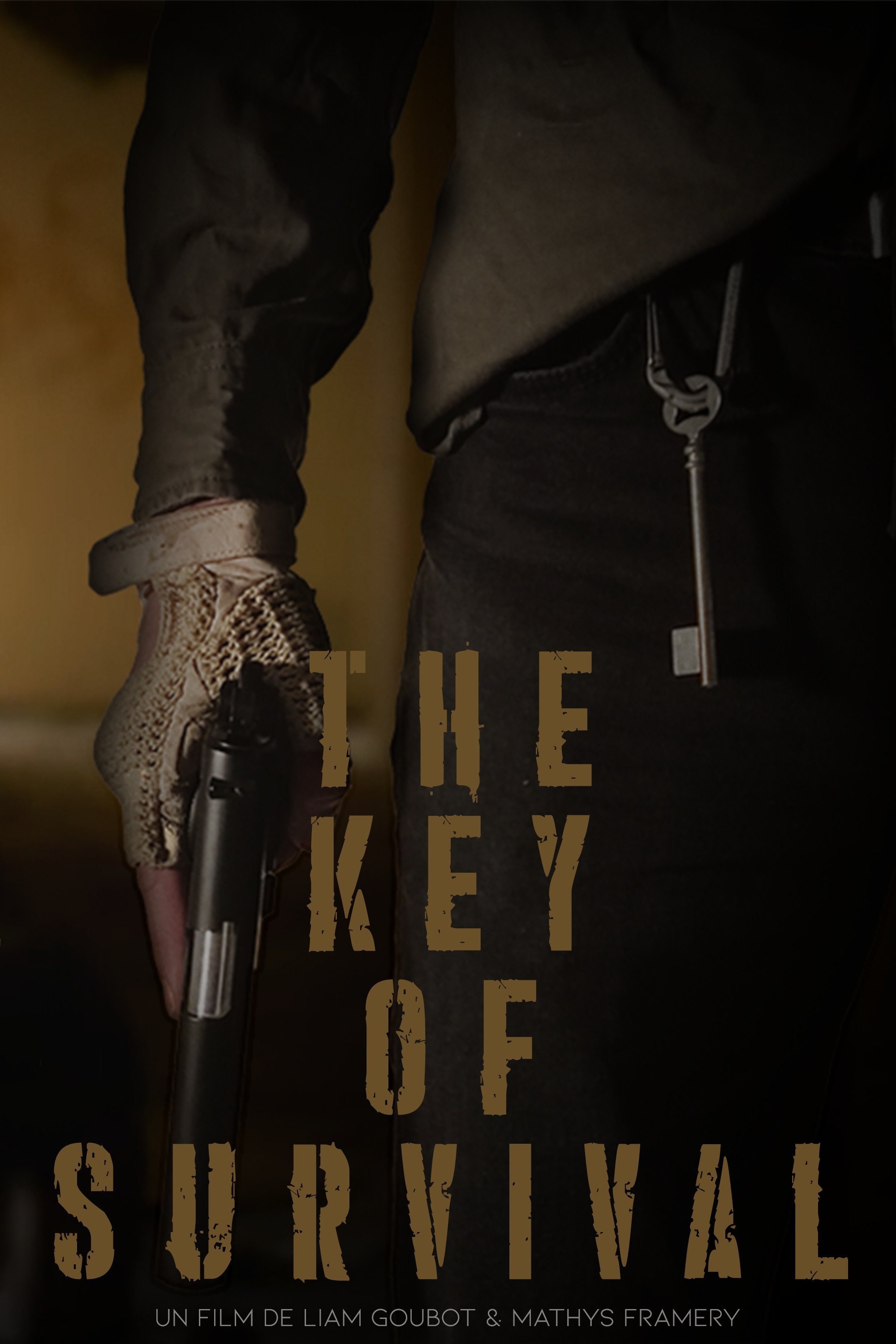 Poster de The Key of Survival