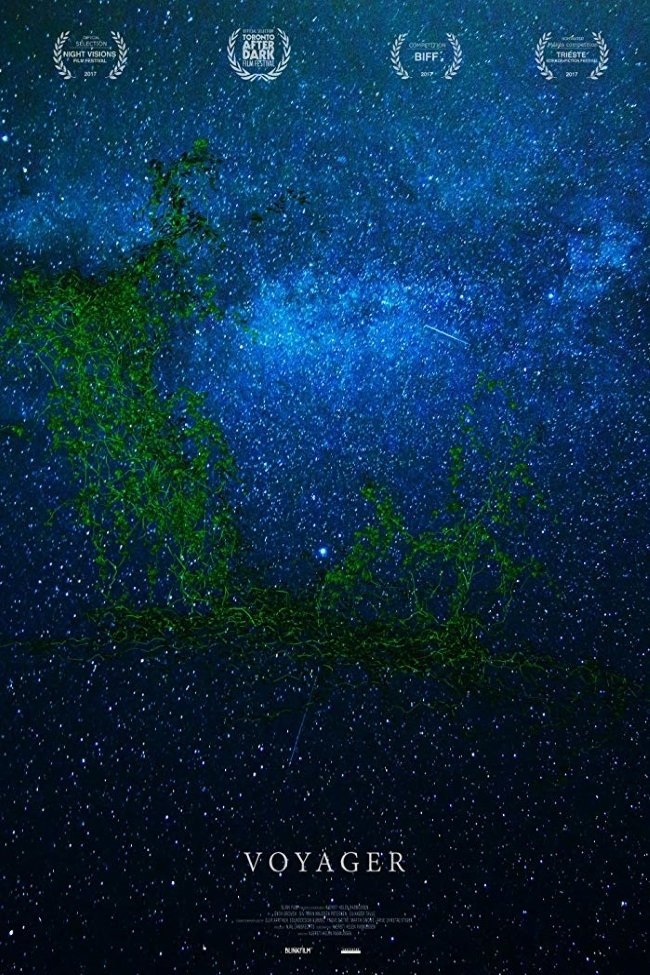 Poster de Voyager