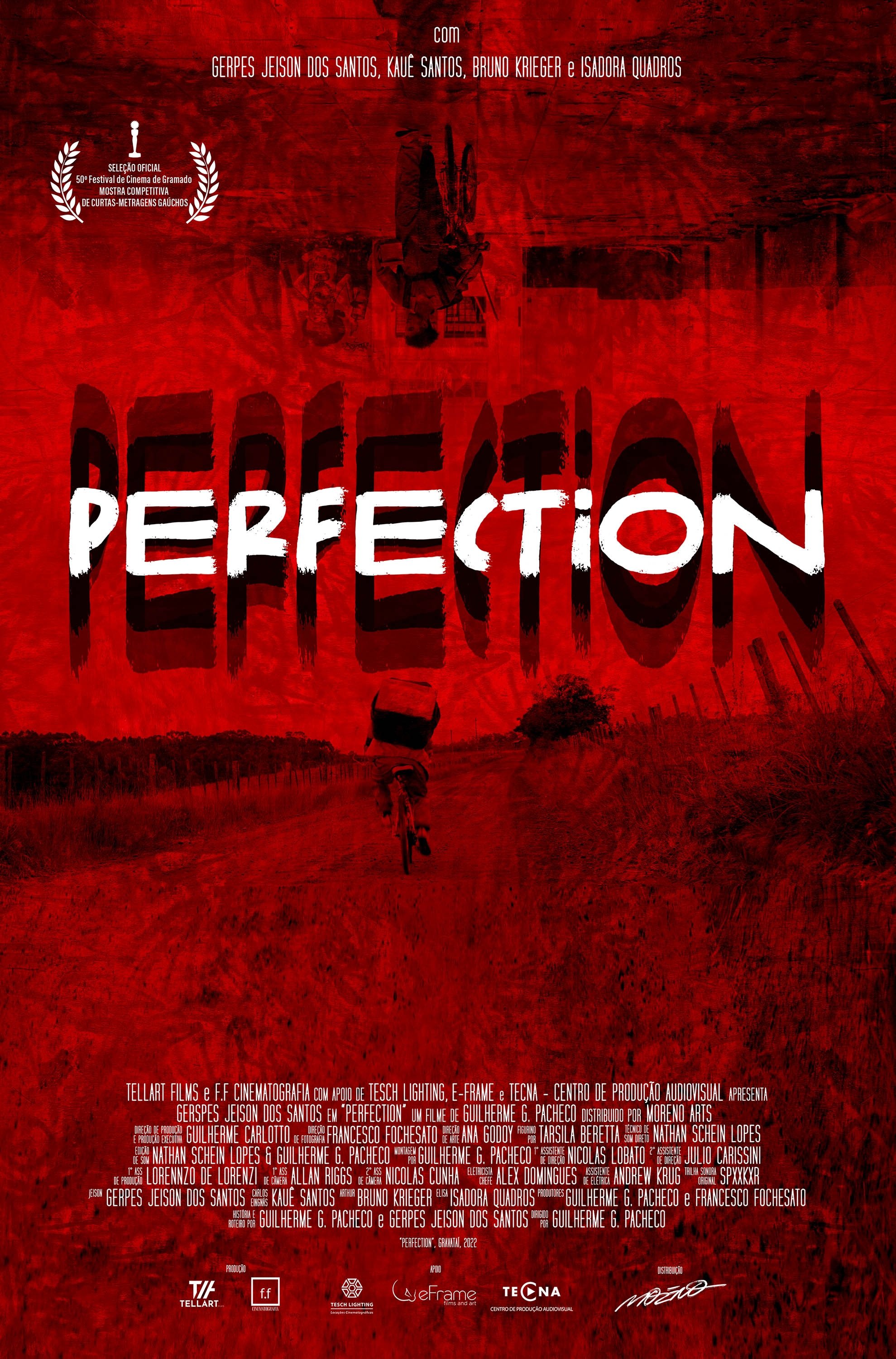 Poster de Perfection