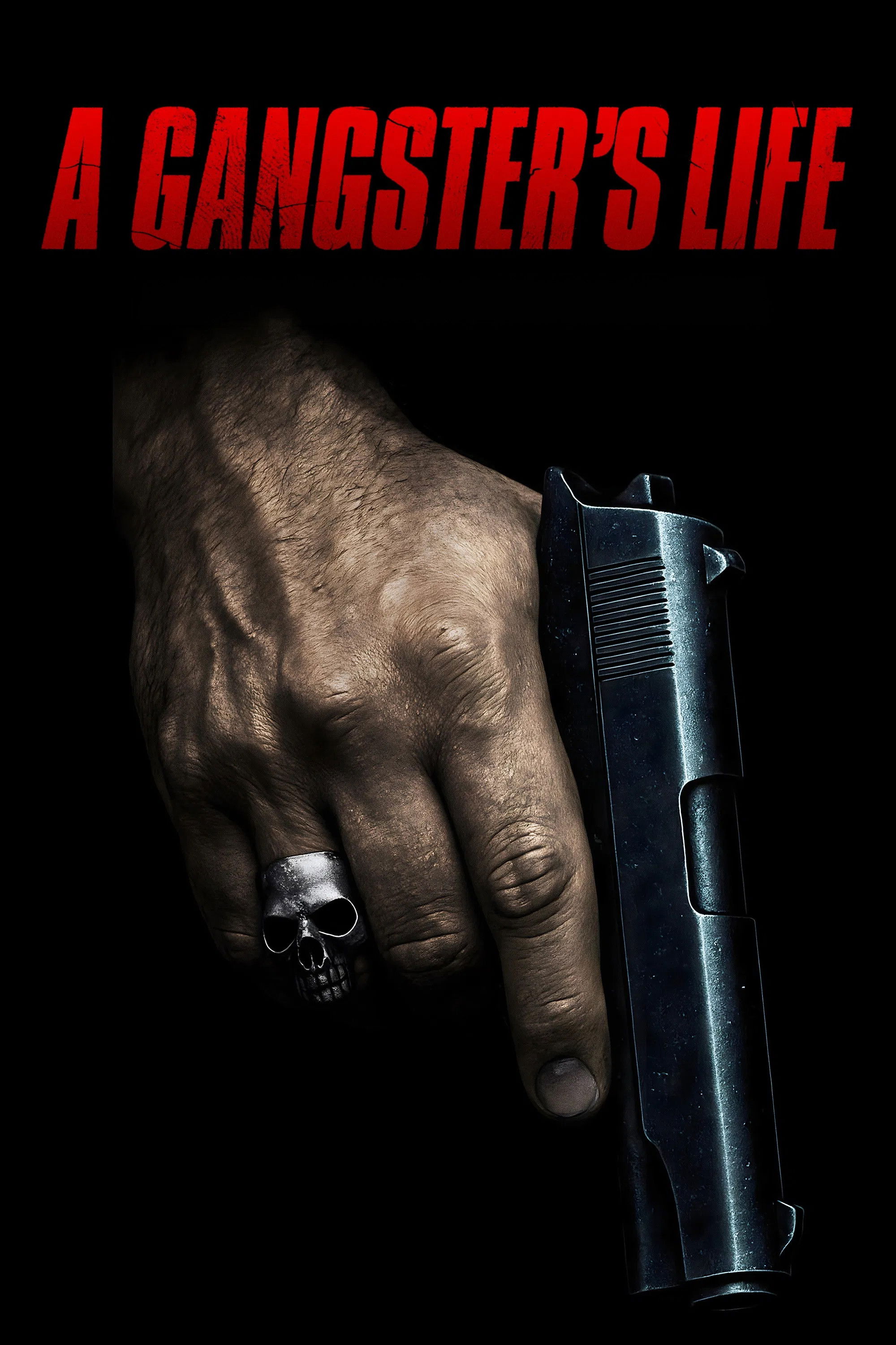 Poster de A Gangster's Life