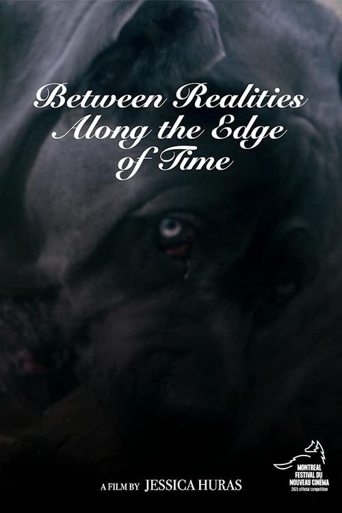 Poster de Between Realities Along the Edge of Time