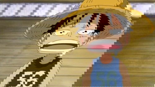 Luffy and Ace! The Story of How the Brothers Met!