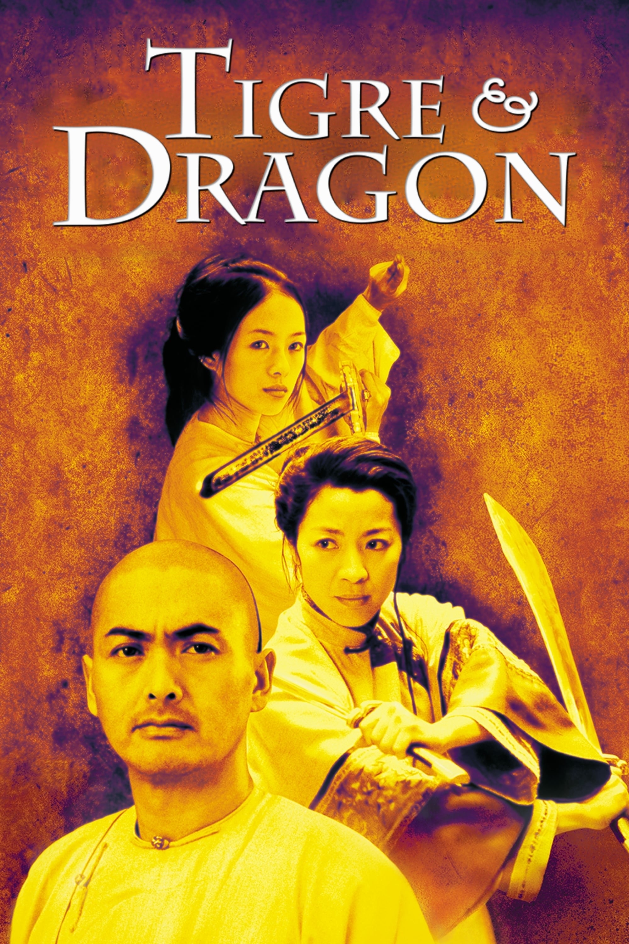 Affiche du film 卧虎藏龍