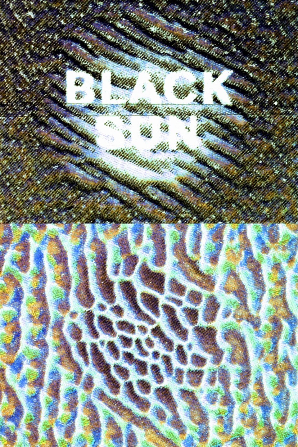 Poster de Black Sun Electro Static