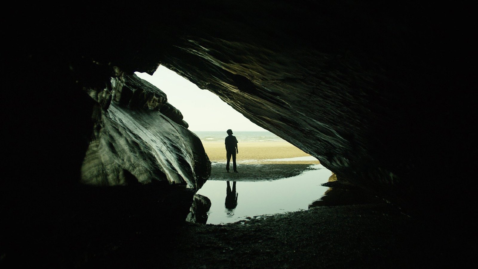 backdrops