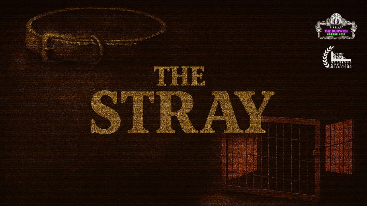 The Stray