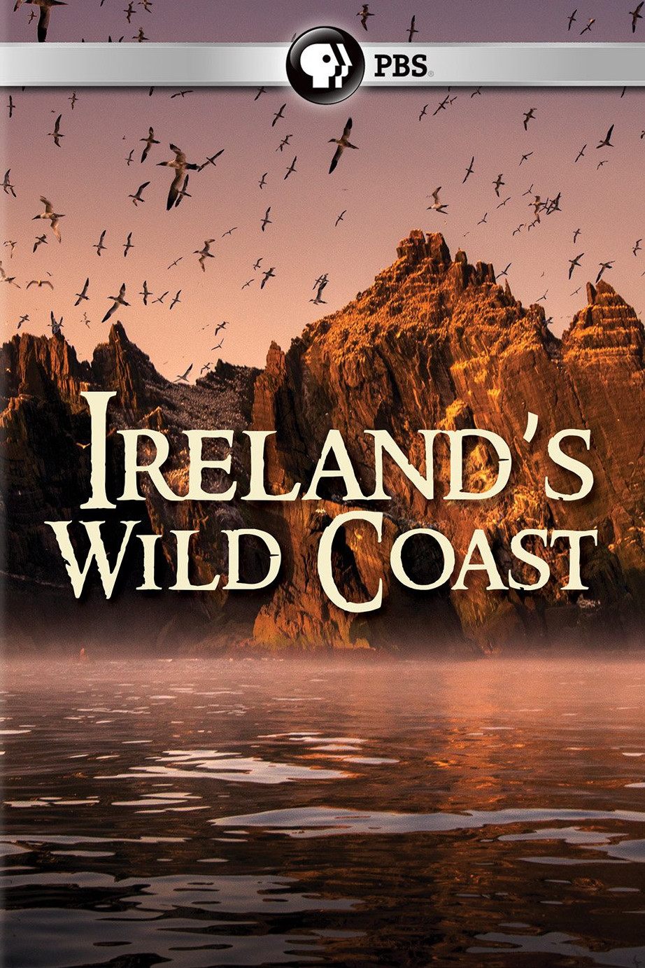 Poster de Ireland's Wild Coast