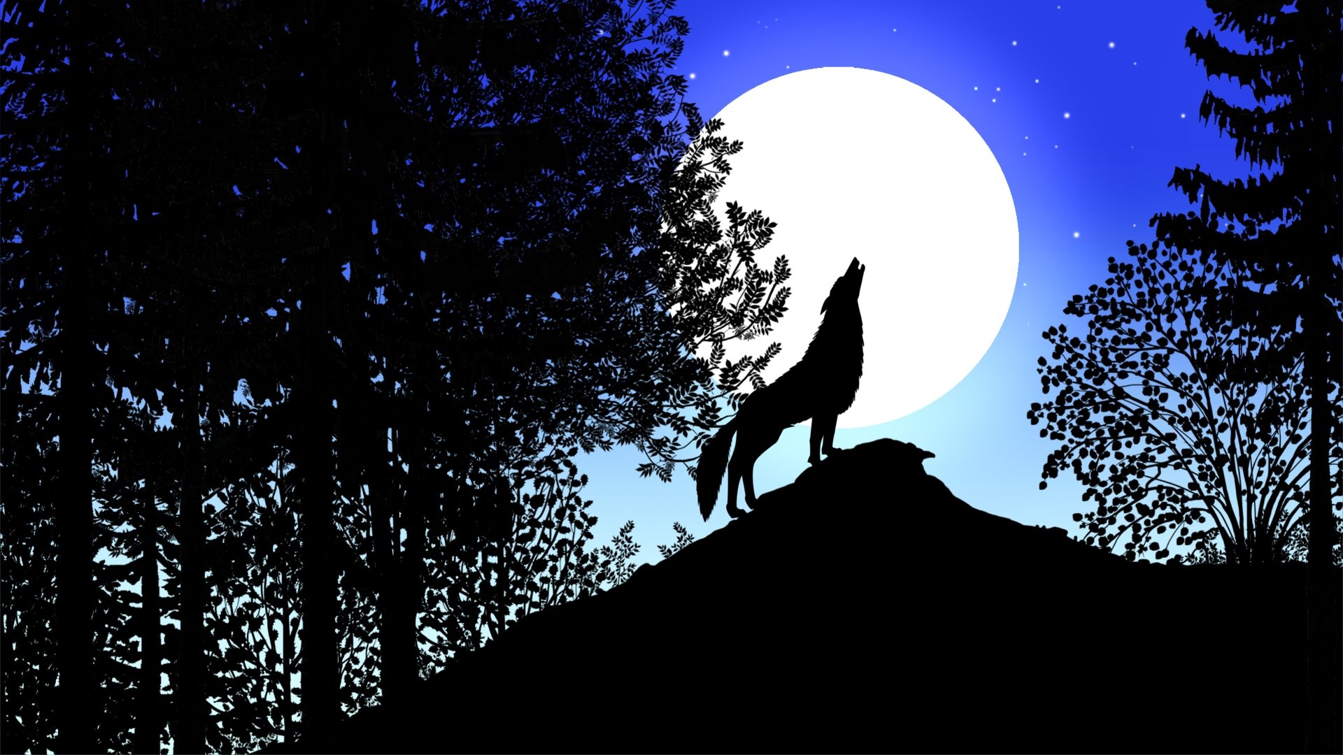 Backdrop image