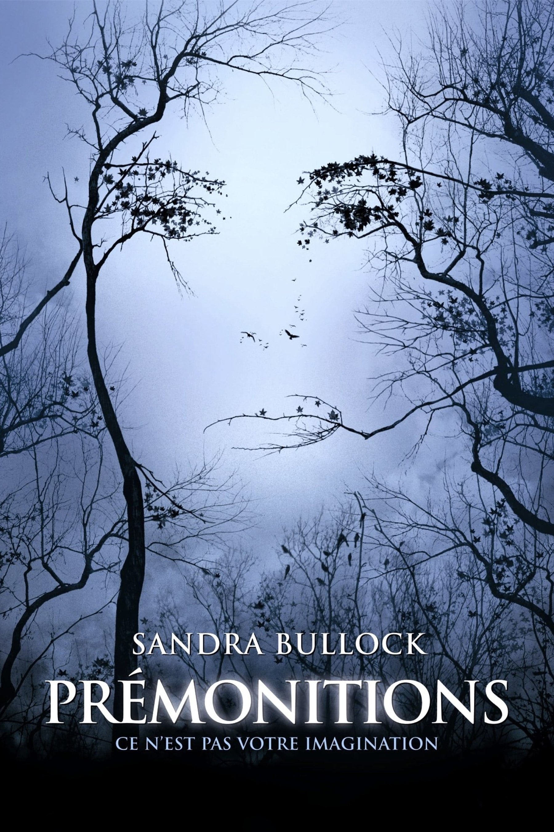 Affiche du film Premonition