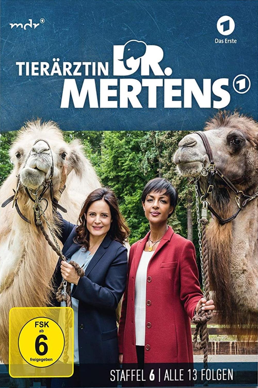Poster de Temporada 6
