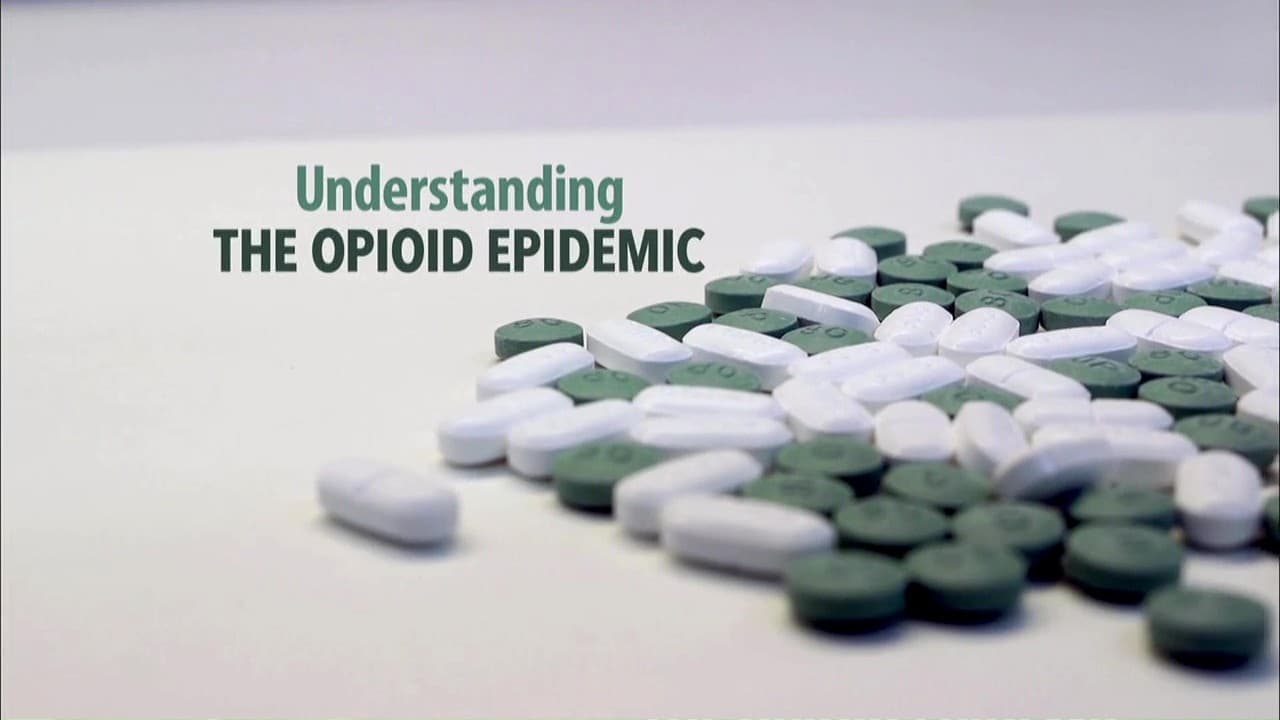 Understanding the Opioid Epidemic 2018 123movies