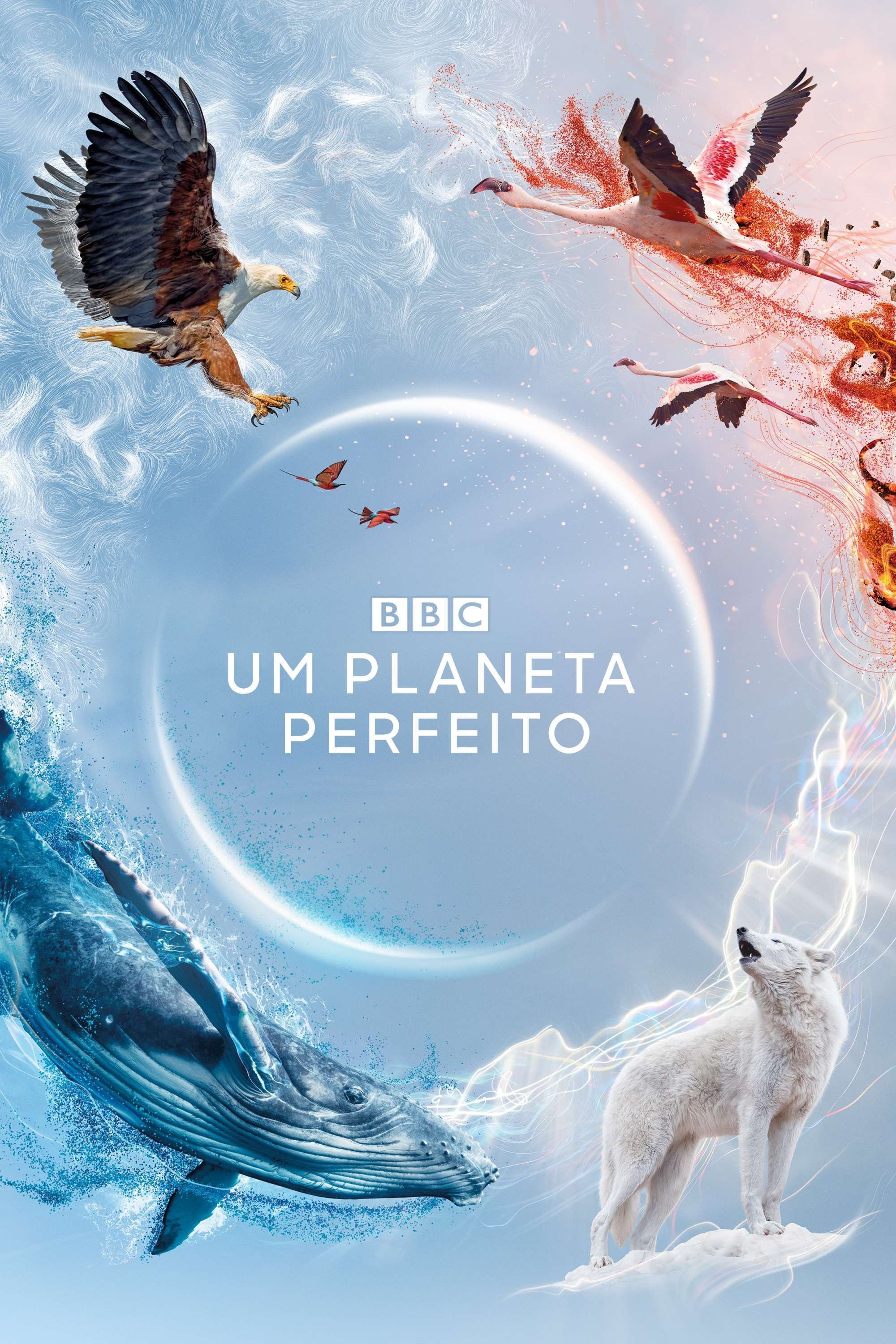 Poster de Um Planeta Perfeito