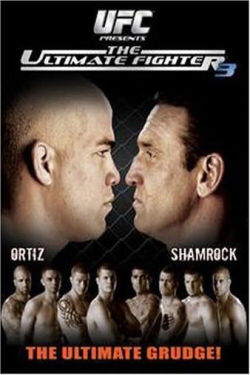 Affiche du film The Ultimate Fighter 3 Finale