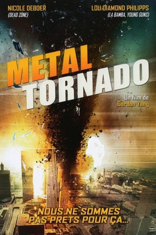 Affiche du film Face à la tornade