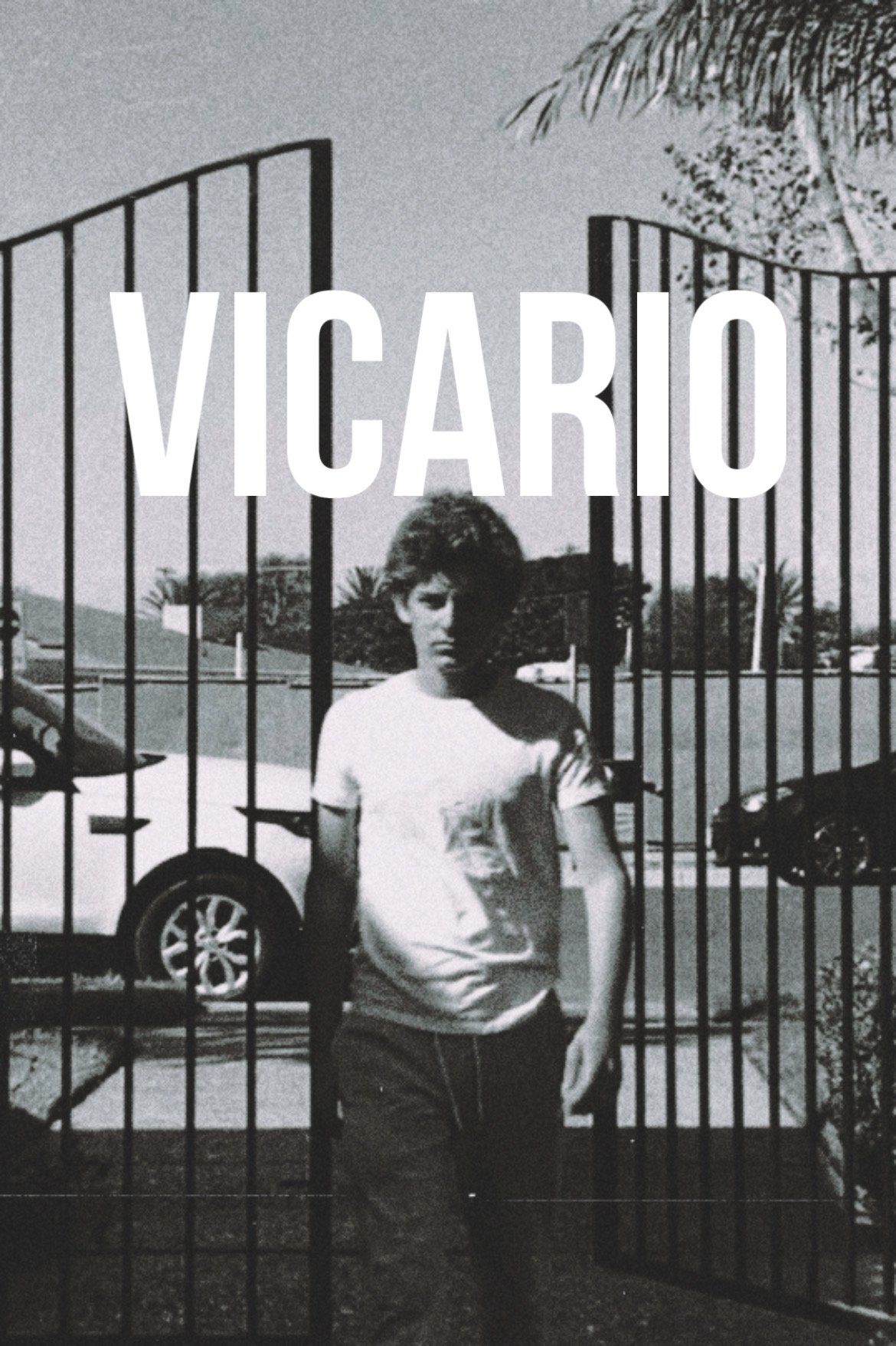 Poster de Vicario