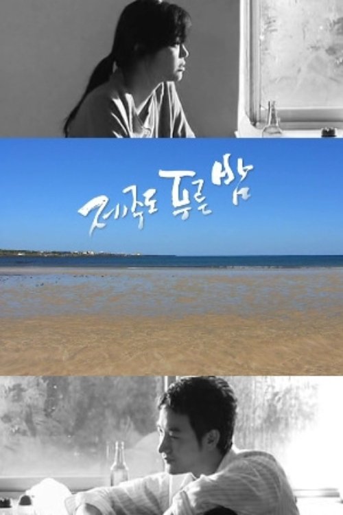 Poster de 드라마 시티: 제주도 푸른밤
